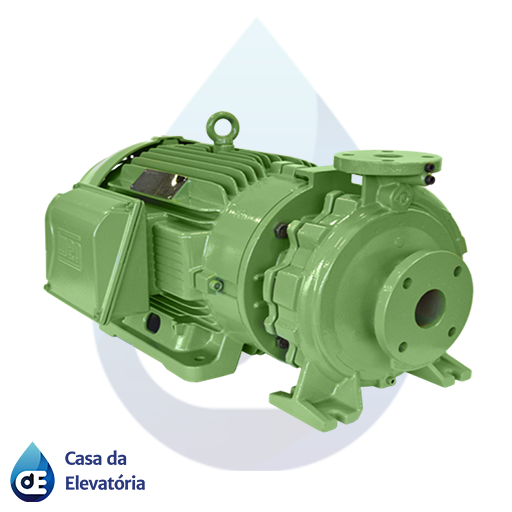 Bomba Industrial pesada